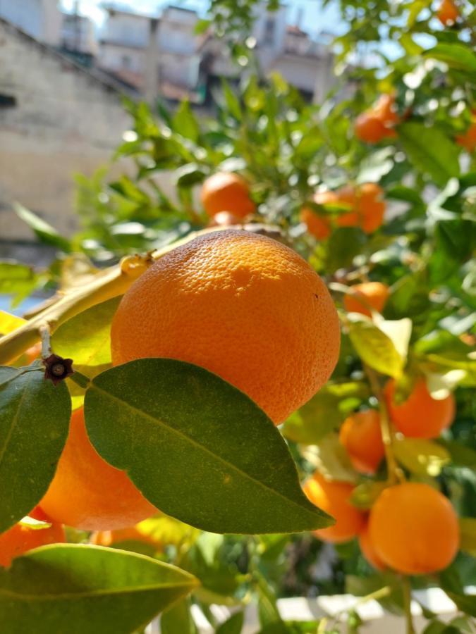 Orange Tree Apartment Аспровалта Екстер'єр фото